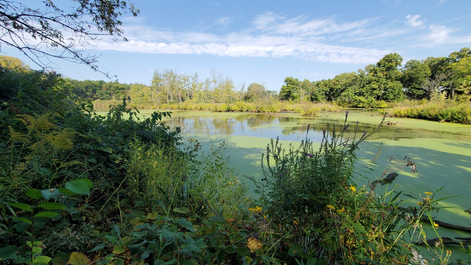 Crab Tree Nature Center 